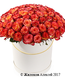 ����� 101 ���� ��� ������ � ������� �������