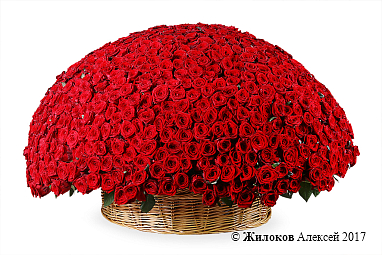 ����� 1001 ���� � �������