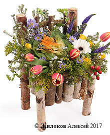 ����� ��������� ����