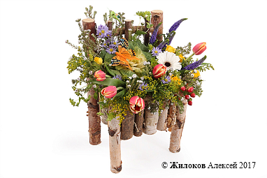 ����� ��������� ����