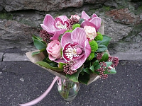 ��� ������� ���� ����� �� ������