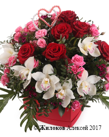 ����� ���������� ����