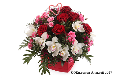 ����� ���������� ����