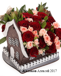 ����� ���� ����� ���� � �����