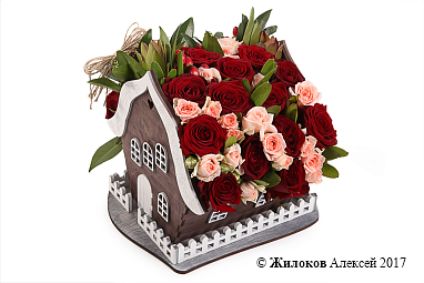 ����� ���� ����� ���� � �����