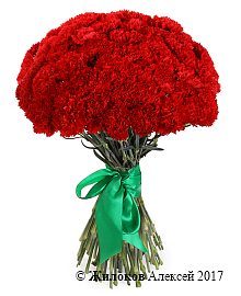 ����� 51 ��������