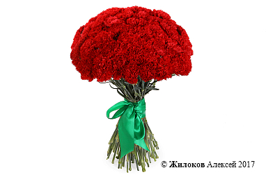 ����� 51 ��������