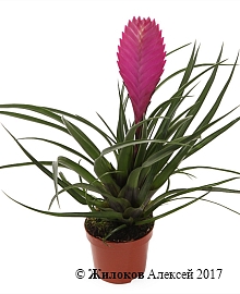 ���������� � �����