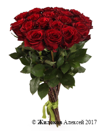 ����� 19 ��� ��� �����