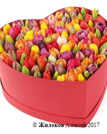 ���������� �������� ����������� � ������� ������� ������ (�����), ����