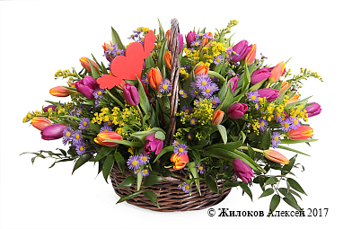 ����� ��������� ������ � �������