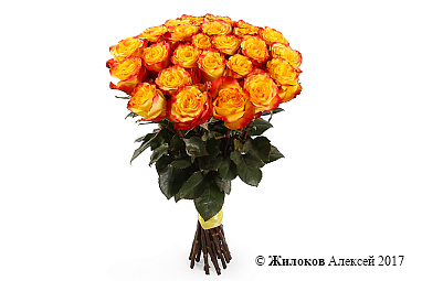 ����� 25 ��� ��� �����