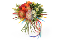 ����� � �������������� ����������� ������