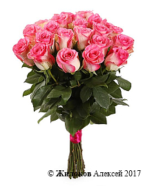 ����� 21 ���� ������