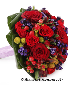 ����� ������� ������