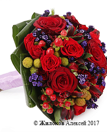 ����� ������� ������