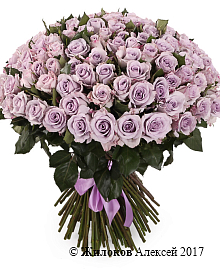 ����� ����� ������ (151 ����)