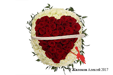 ����� ��������� � �����