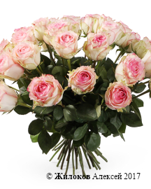 ����� 35 ��� ��������