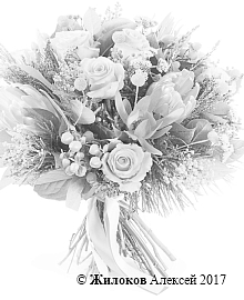 ����� �� ��������������� ������