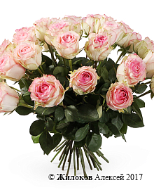 ����� 35 ��� ��������