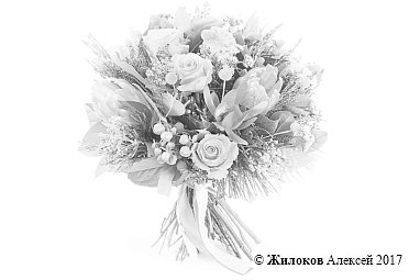 ����� �� ��������������� ������