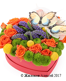 ����� ������� ����� � ������� ������� ������