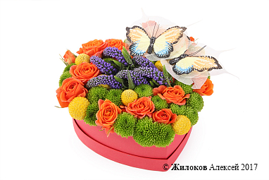 ����� ������� ����� � ������� ������� ������