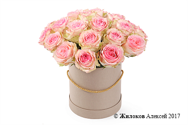 ����� 25 ��� �������� � ������� �������