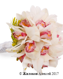 ����� ������� � ��������� �����