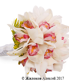 ����� ������� � ��������� �����