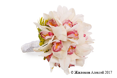 ����� ������� � ��������� �����