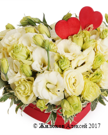 ����� �� ������� ����������� ������� � ������� ������� ������