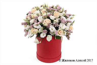 ����� ���� � ������� � ������� �������