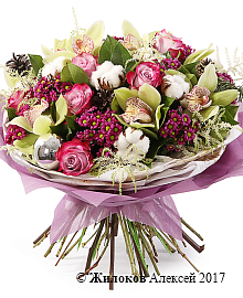 ����� ���������