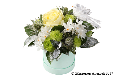 ����� ������ �������� ���� � ������� �������