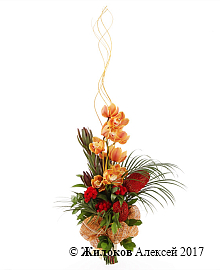 ����� ������ ������