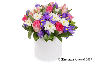 ����� ������� �������� � ������� �������