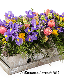 ���������� ��������� ���� � �����