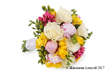 ����� ������� �����