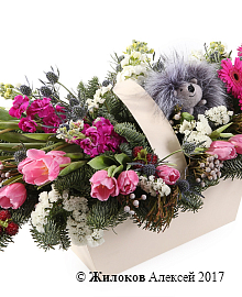 ���������� ���� � ���� � �����