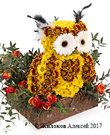 ���������� ������� ����