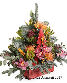 ���������� ������ ��� � �����