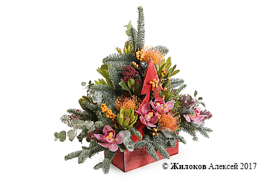 ���������� ������ ��� � �����