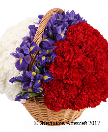 ����� ���������� �������� � �������