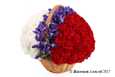 ����� ���������� �������� � �������