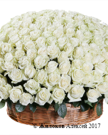 ����� 301 ���� �������� � �������