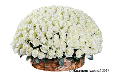 ����� 301 ���� �������� � �������