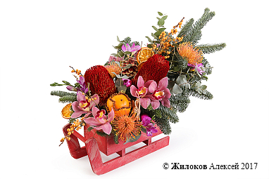 ���������� ���� ����� � �����