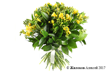 ����� � �������� ������ � ����